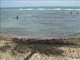 Guardarraya Beach - PATILLAS